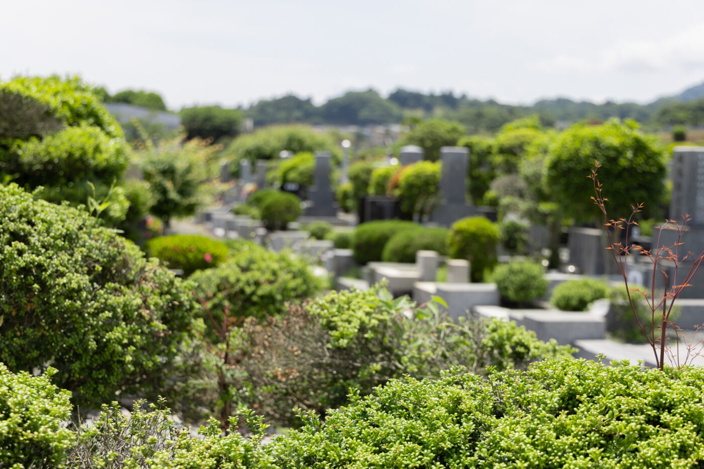 緑豊かな墓地